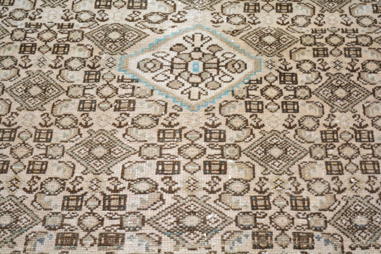 Vintage Persian Malayer