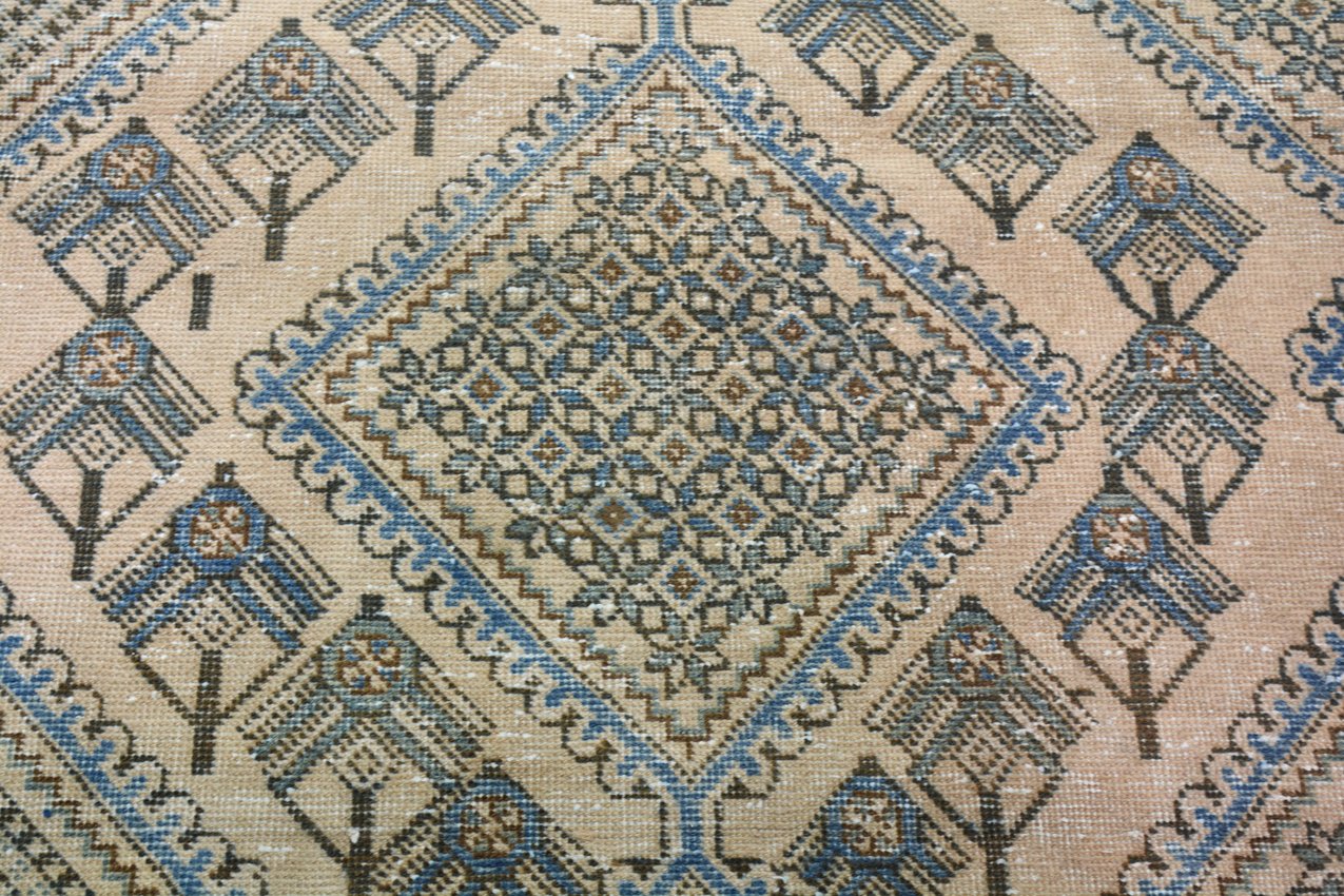 Vintage Persian Malayer