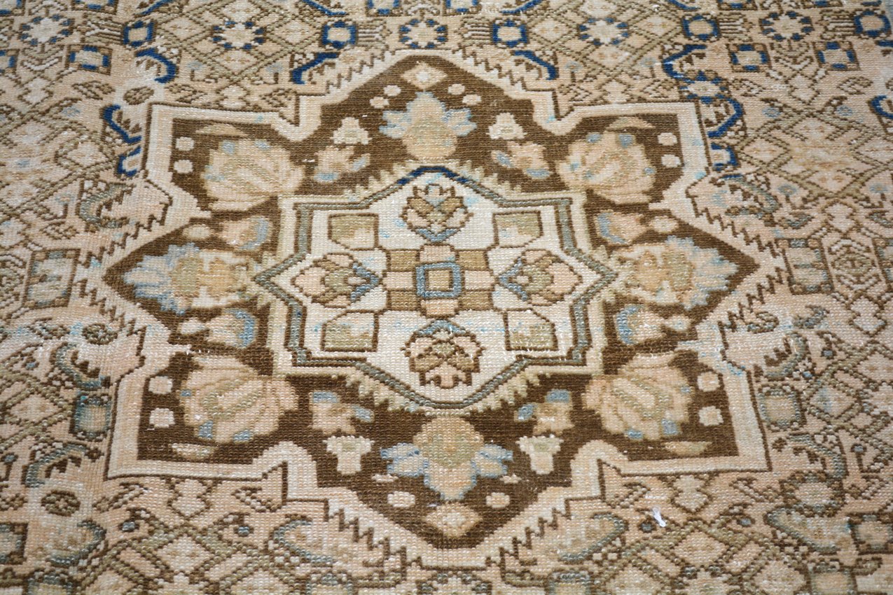 Vintage Persian Malayer