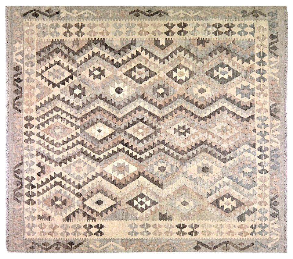 Collection Image